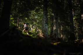 Trail des Hauts-Forts 2018